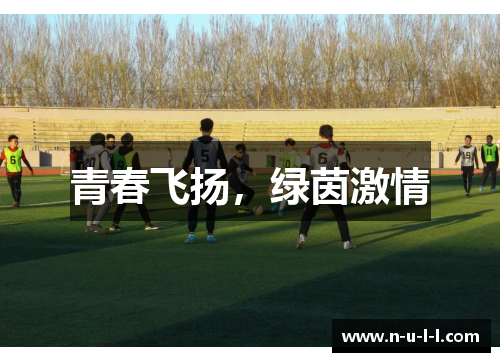 青春飞扬，绿茵激情